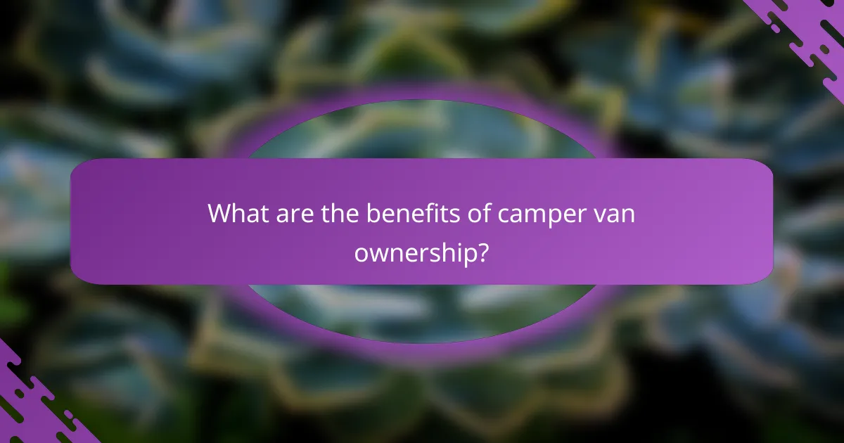 What are the benefits of camper van ownership?